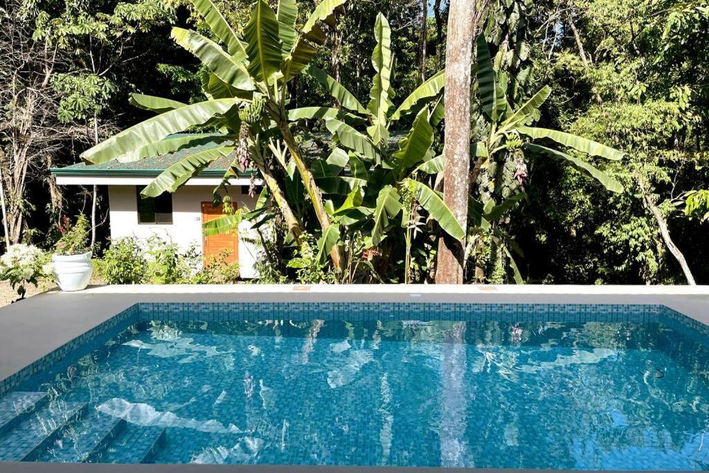 An Abundance Of Wildlife At Jungle Glory Home Abajo Manuel Antonio Exterior photo