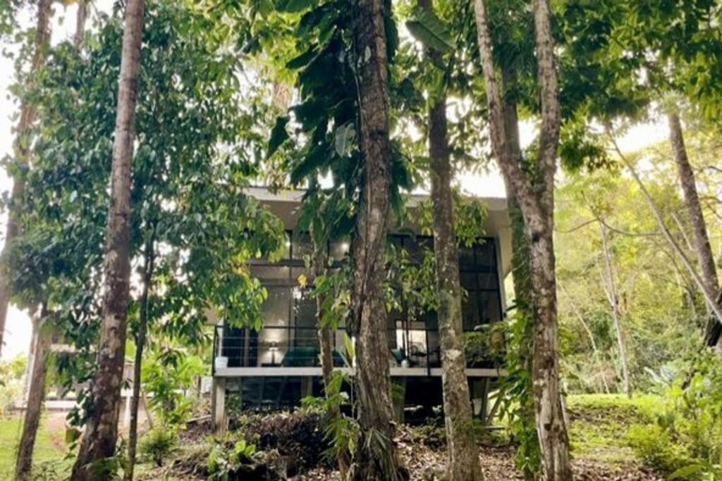 An Abundance Of Wildlife At Jungle Glory Home Abajo Manuel Antonio Exterior photo