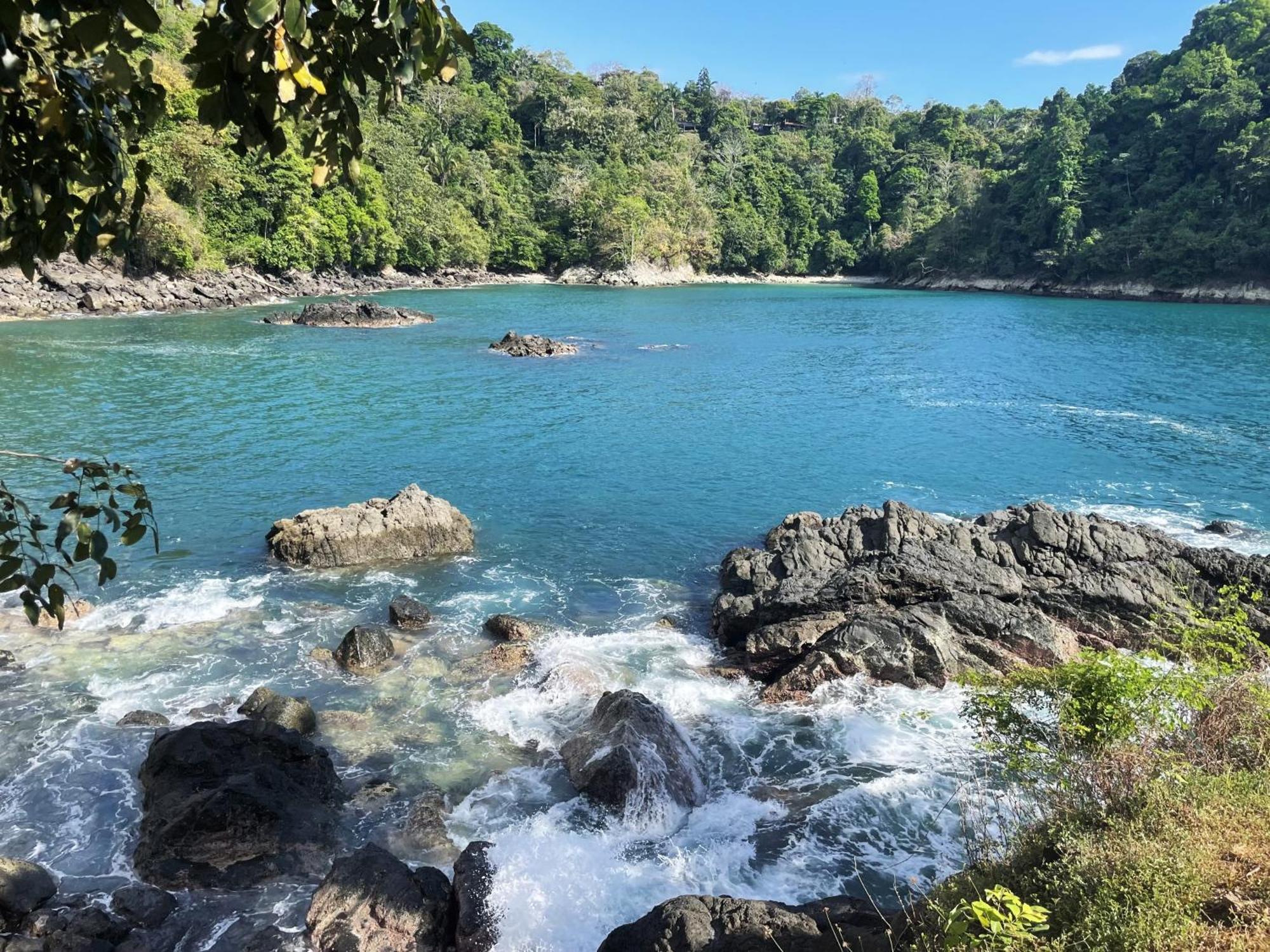 An Abundance Of Wildlife At Jungle Glory Home Abajo Manuel Antonio Exterior photo